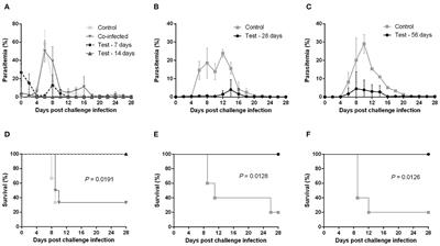 Babesia microti Confers Macrophage-Based Cross-Protective Immunity Against Murine Malaria